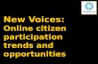 New Voices: Online citizen participation trends and opportunities (Finland)