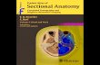 Pocket atlas of sectional anatomy [vol 1   head and neck] - t. moeller, e. reif (thieme, 2007)
