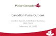 Canadian Pulses Outlook