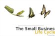 Tips to Grow Your Small Business