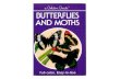 Butterflies and Moths - A Golden Guide