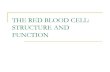 RBC Structure and Function