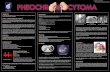 Pheochromocytoma Poster FINAL