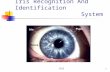 Iris Recognition And Identification2