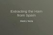 ASSP: Extracting the Ham from Spam -- by David J. Young