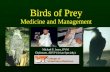 Birds of Prey Medicine and Mgmt