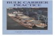 Bulk Carrier Practice
