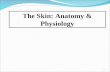 3. Fisiologi - Dr. S. Marunduh, MMed - SKIN
