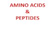 2.Amino Acids & Peptides