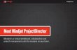 Introducing ProjectDirector
