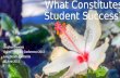What Constitutes Student Success?