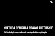 Kultura Remixu | RIP Remix Manifesto