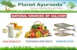 Coral Calcium Complex- Calcium Supplements Benefits