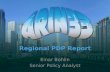 Regional Policy Development Process Report