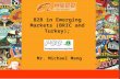 B2B in emerging markets (sharing)