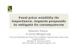 Maximo Torero: Food price volatility - its importance, impacts and proposals to mitigate its consequences