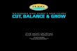 Cut Balance and Grow - Rick Perry