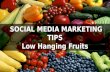 Social Media Marketing (Low Hanging Fruits) - Easy and Quick Tips for Big Results