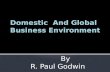 Domestic and global business environment