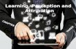 Learning, perception and attribution