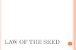Law of the seed (rcc)