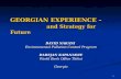 Georgian Experience —and Strategy for Future