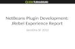 NetBeans Plugin Development: JRebel Experience Report
