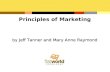 Chapter 11: Advertising, Integrated Marketing Communications, and the Changing Media Landscape