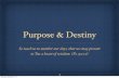Our Purpose & Destiny