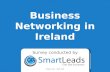 SmartLeads.ie Irish Business Networking Survey