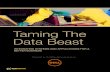 Taming the data beast