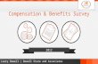 Larry Dowell - Insights from the 2012 MACE Compensation & Benefits Survey