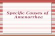 Specific Causes of Amenorrhea