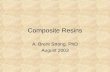 02 Composite Resins (2)