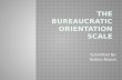 Bureaucratic Orientation Scale