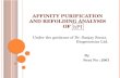 Affinity Purification and Refolding Analysis of Hpi(2)