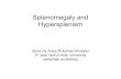 Splenomegaly and Hypersplenism