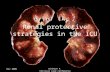 Renal Protective Strategies in the ICU