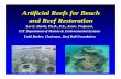 11-Submerged Artificial Reefball Breakwaters