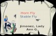 Horn Fly and Stable Fly