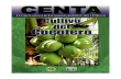 2003. CENTA. Guía Técnica del Cultivo de Cocotero
