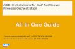 All in One Guide ADD-On Solutions for SAP NetWeaver Process Orchestration