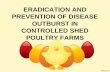 Poultry disease eradication