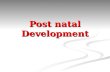 4+ +Postnatal+Development