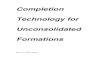 Completion Technology for Unconsolidated Formations