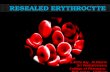 Resealed Erythrocyte
