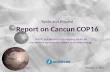 Report on Cancun COP16