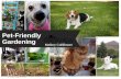 Pet Friendly Gardening: It Can Be Done!