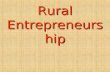 Rural entrepreneurship in detail