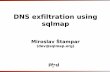 DNS Exfiltration Using Sqlmap
